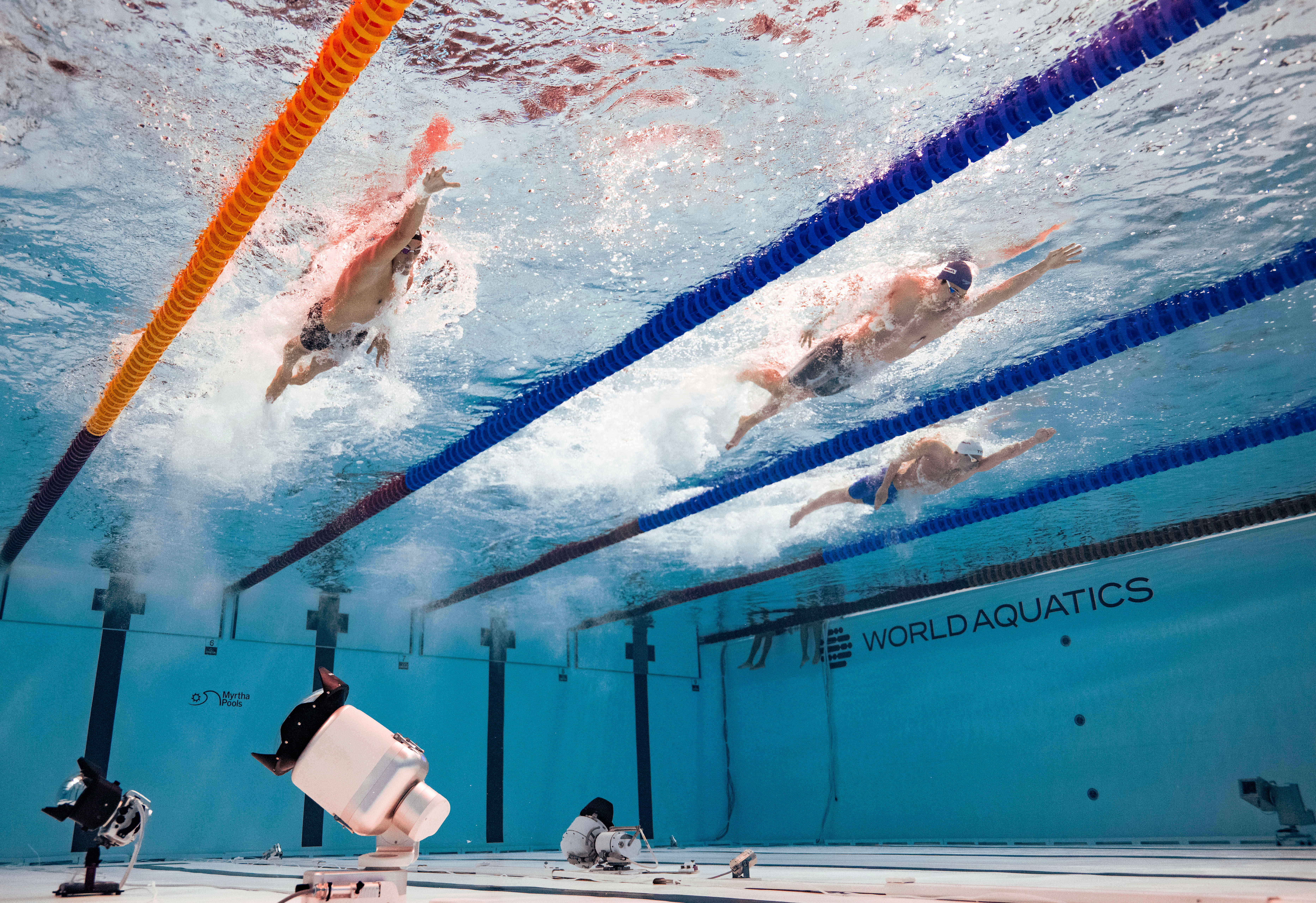 开云体育入口-中国游泳健儿夺得男子接力x米自由泳冠军的简单介绍