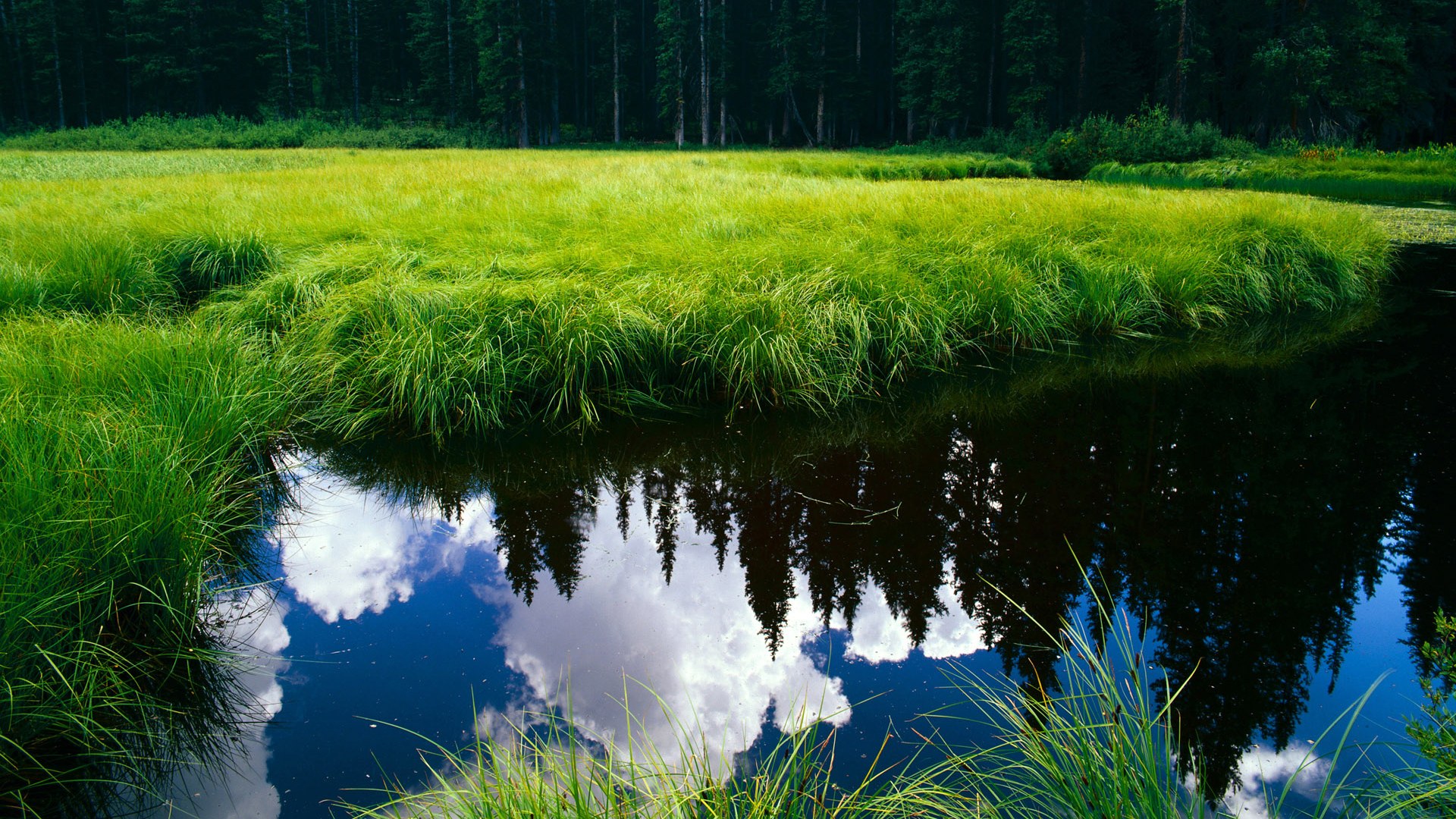 深度分析西亚卡姆破茧重生之战！他用29分撕碎尼克斯防线，快船诠释何为争冠级攻防