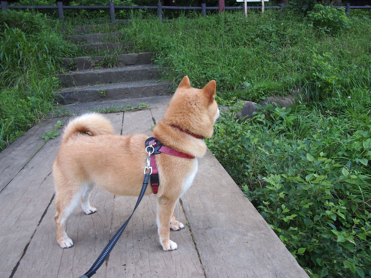 一剑封喉定义国家德比之夜，何以唯有阿什拉夫，配享这无争议的加冕？