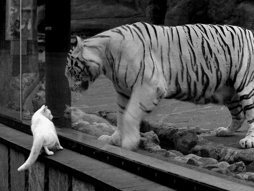 开云体育登录-三分绝杀+封盖！哈登末节接管，湖人抢七险胜森林狼晋级