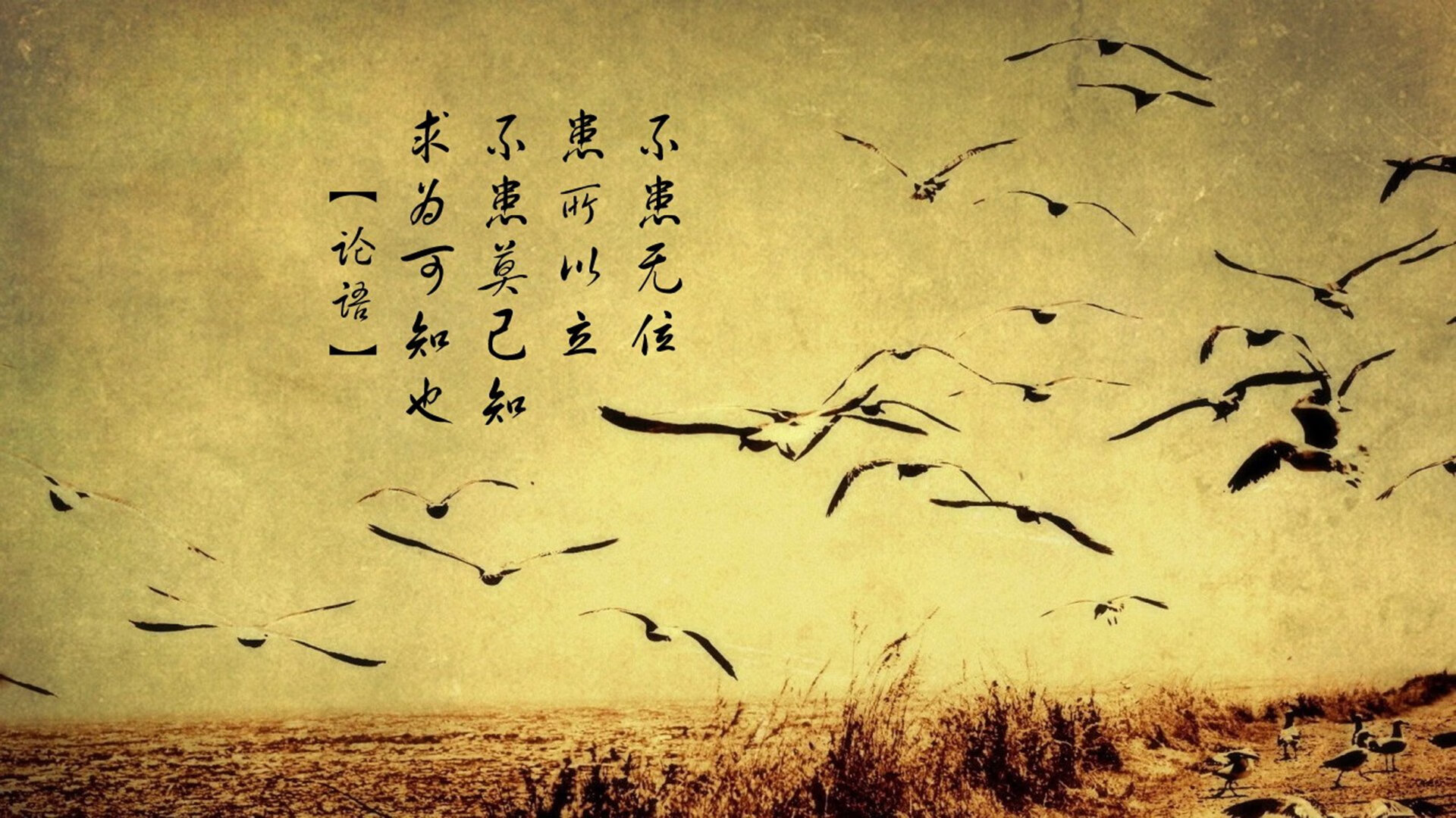 非门将的门将，库尔图瓦客串扑点，写就加纳与黄潜的黑色幽默史诗