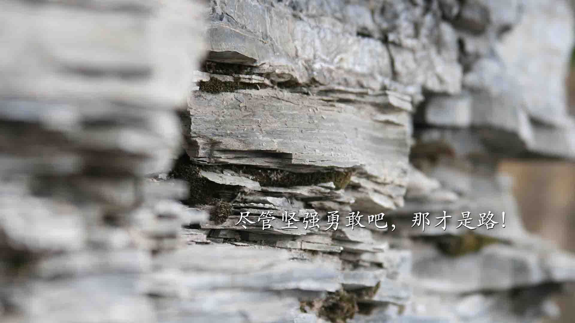 跨界封神夜，从伊杜纳公园到迈阿密，唯一性如何撕裂时空