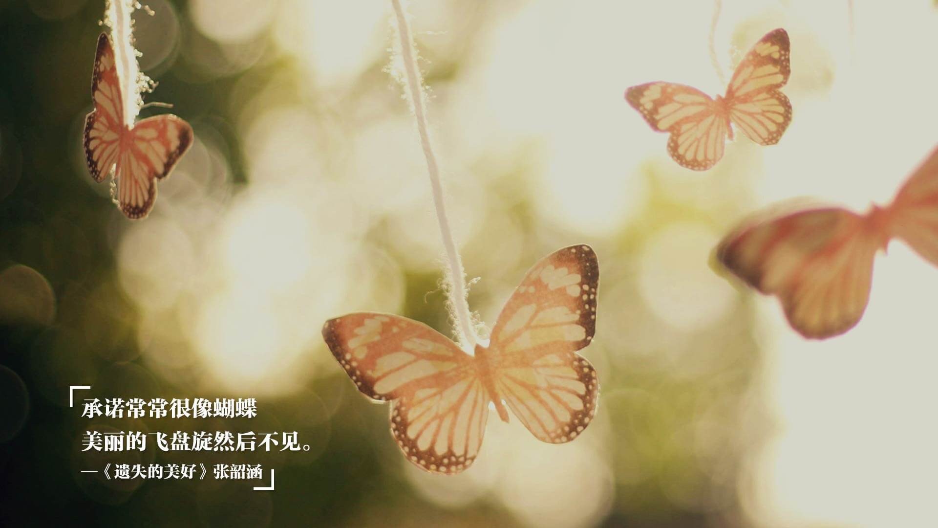 暴力美学与传统智慧的碰撞，锡安全程高能背后的篮球哲学变革