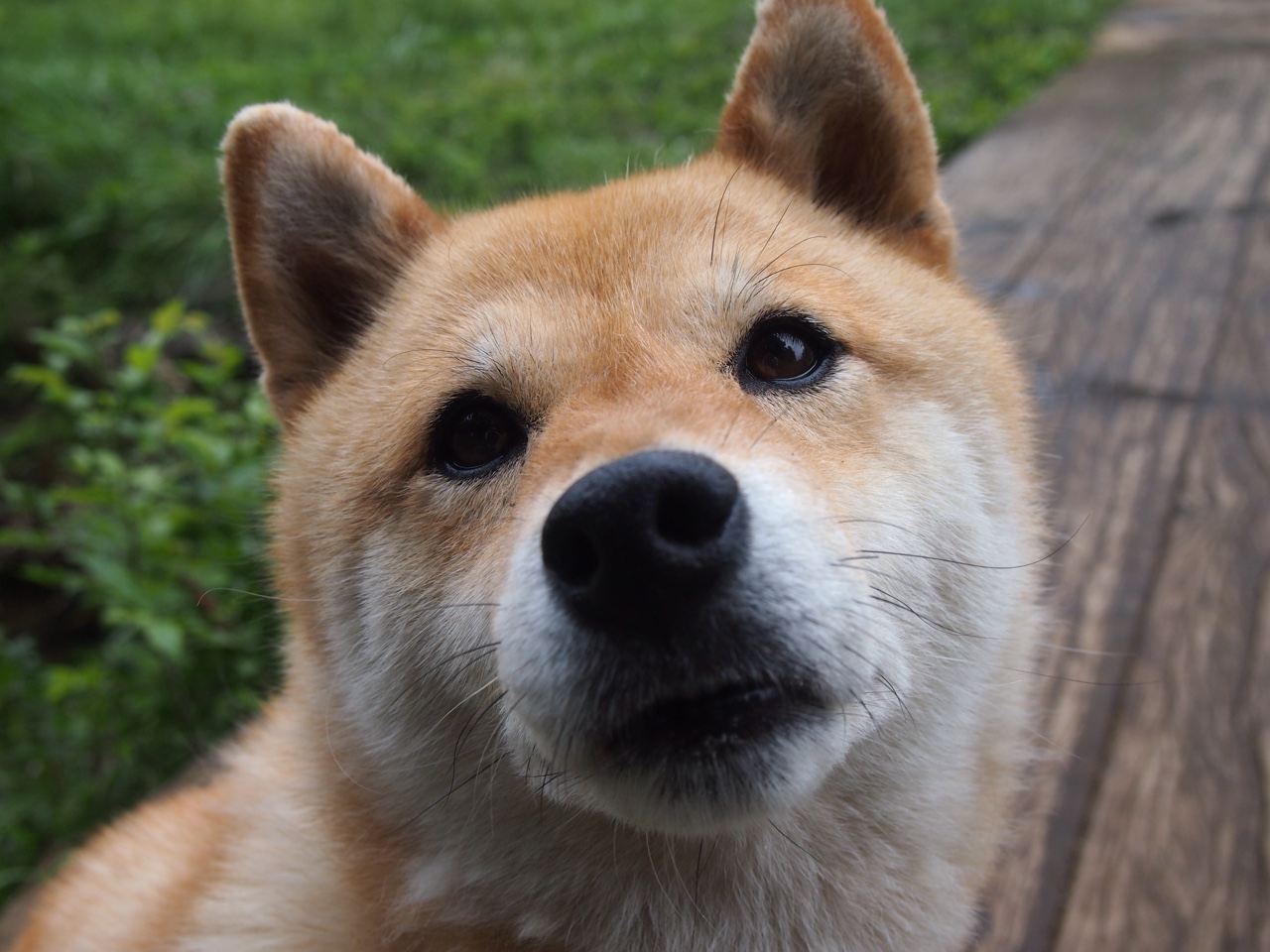 开云体育在线-绿茵闪电与赛道幻影，当拜仁速胜西班牙遇上C罗的F1接管