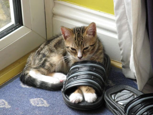 开云体育-铁卫双响引爆绝杀风暴！金玟哉关键节点连斩 红黑军团末节闪电三连击带走曼联