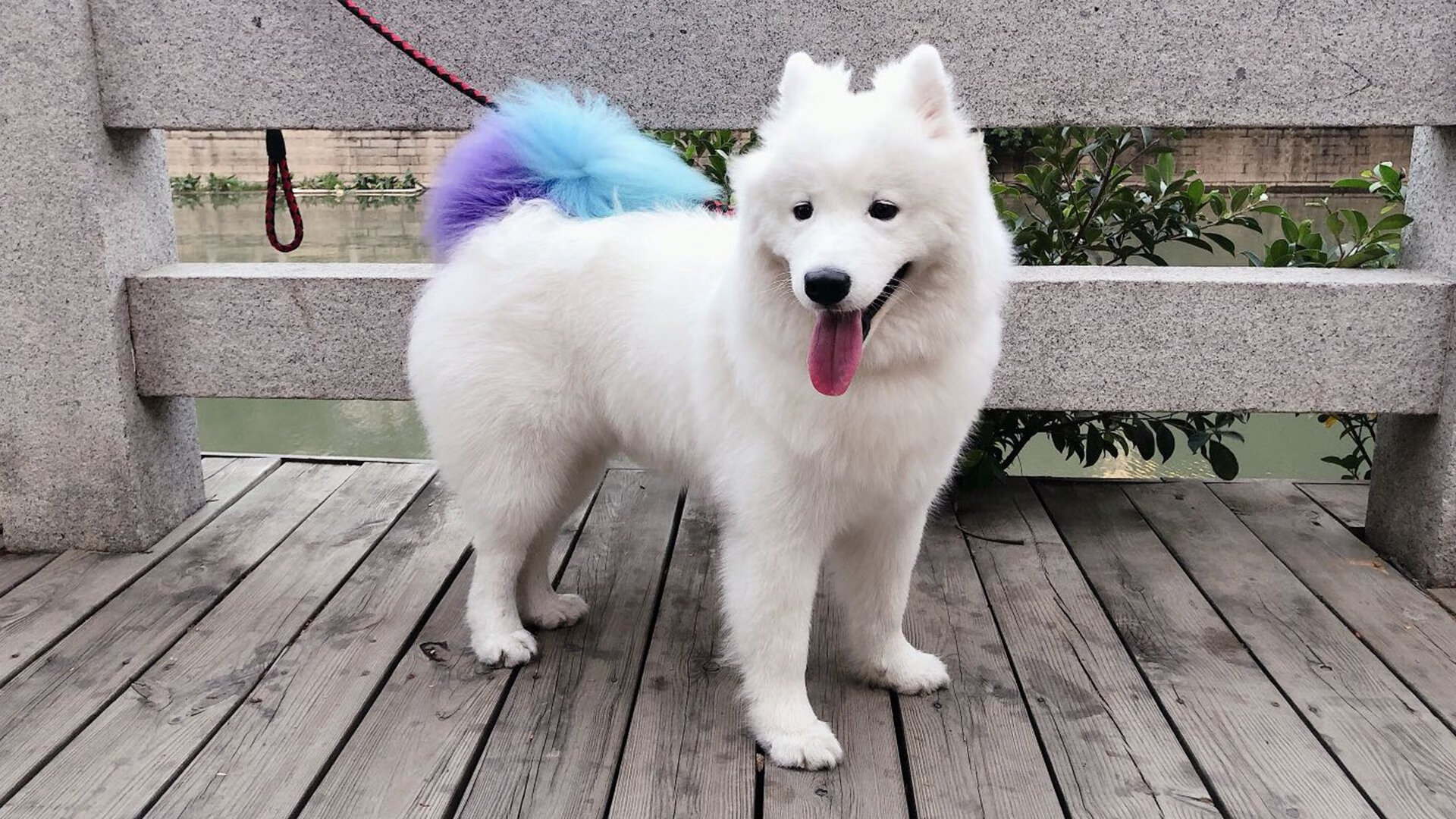 开云体育在线-今日两重天，灰熊如潮淹没篮网，文班亚马在欧冠半决赛划破苍穹