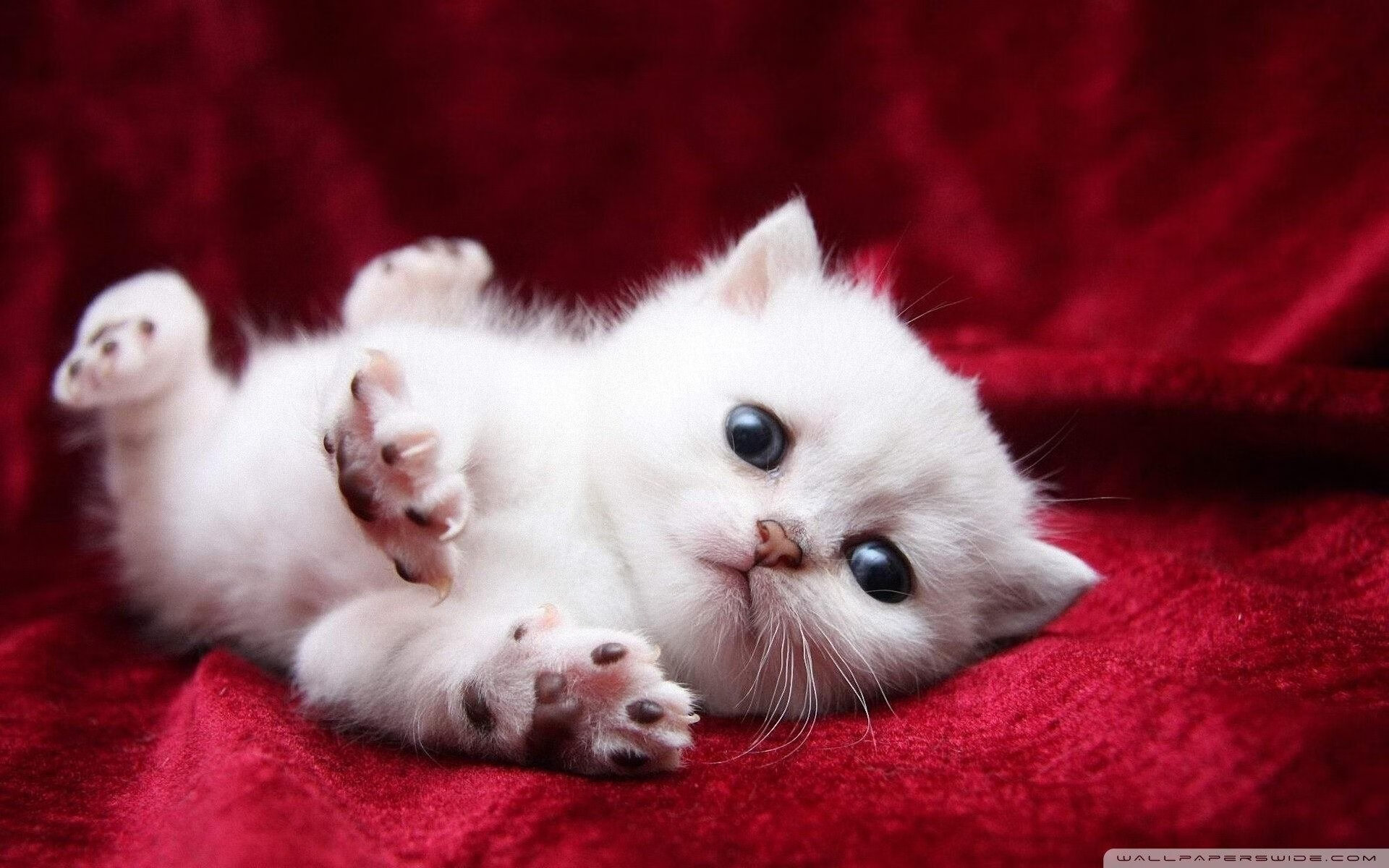 开云APP-独舞休斯顿，保罗在世界排名争夺战中接管比赛，火箭击溃马刺