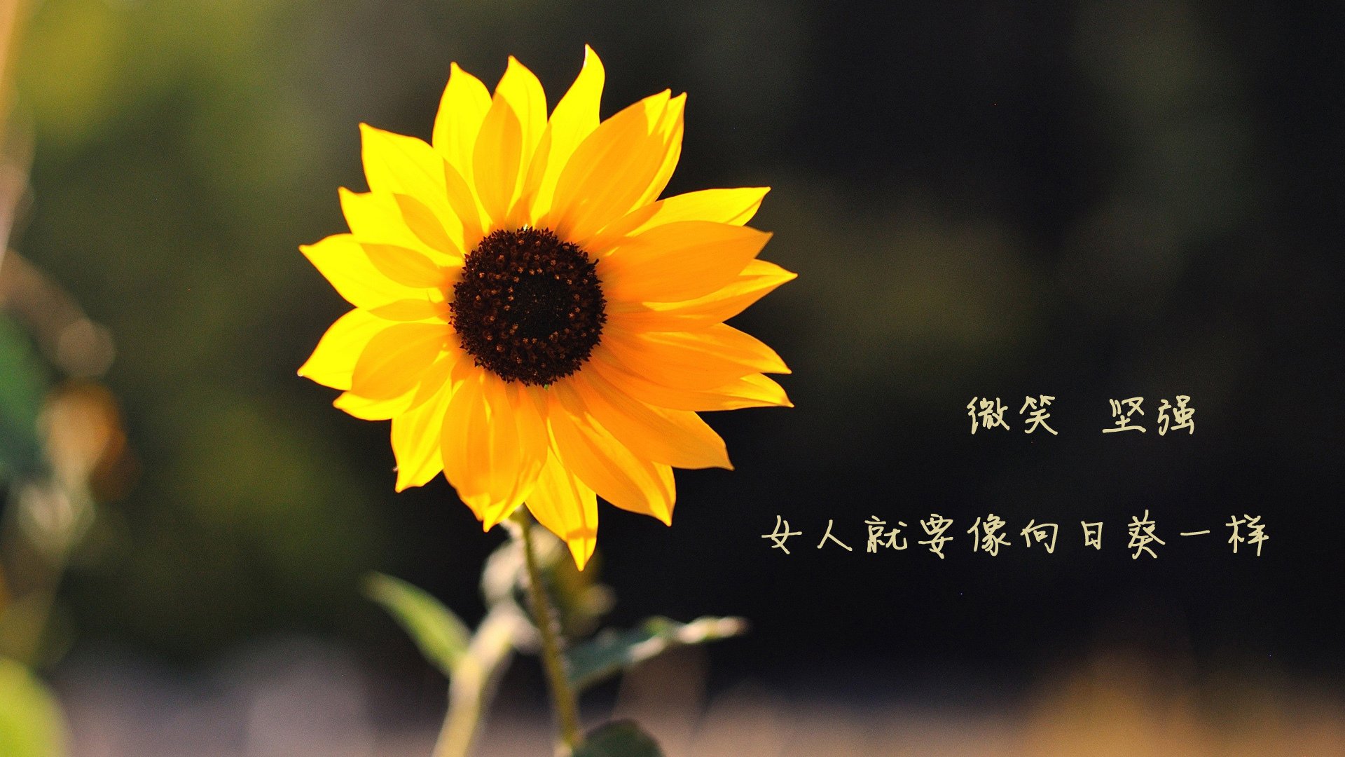 跨海约战记，当广厦的硬骨头遇上杜兰特的长臂