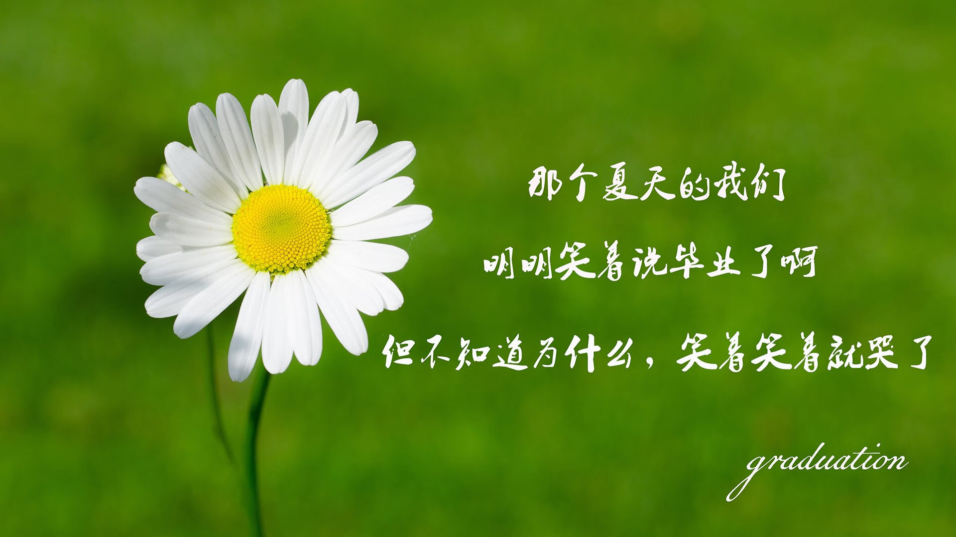 开云-非常有戏剧性。为了写出唯一性，我们需要构建一个特定的、充满戏剧张力的叙事背景，让波兰完胜英格兰和登贝莱致命一击这两个看似矛盾（登贝莱是法国人）的元素，在一个合理的、充满宿命感的故事里合二为一