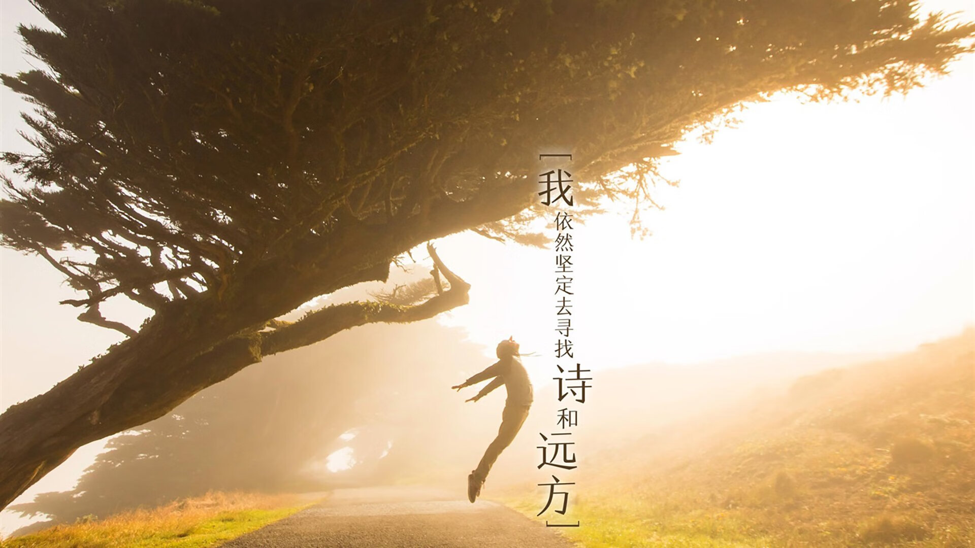 2026世界杯B组焦点战，巴西完胜日本，阿诺德一役封神