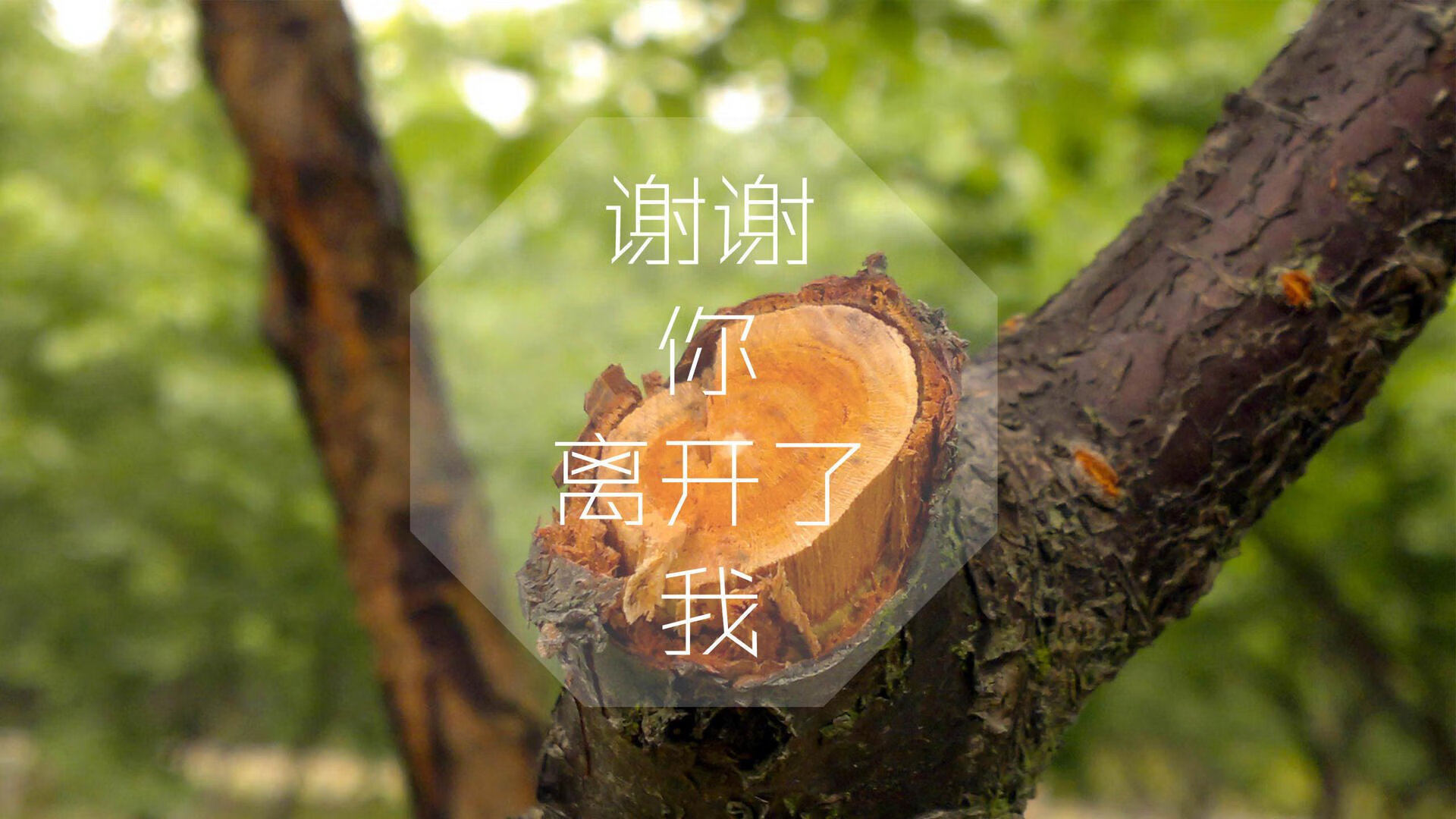 这是一篇为您定制的、结合了唯一性概念与您给出的全部关键词的深度文章