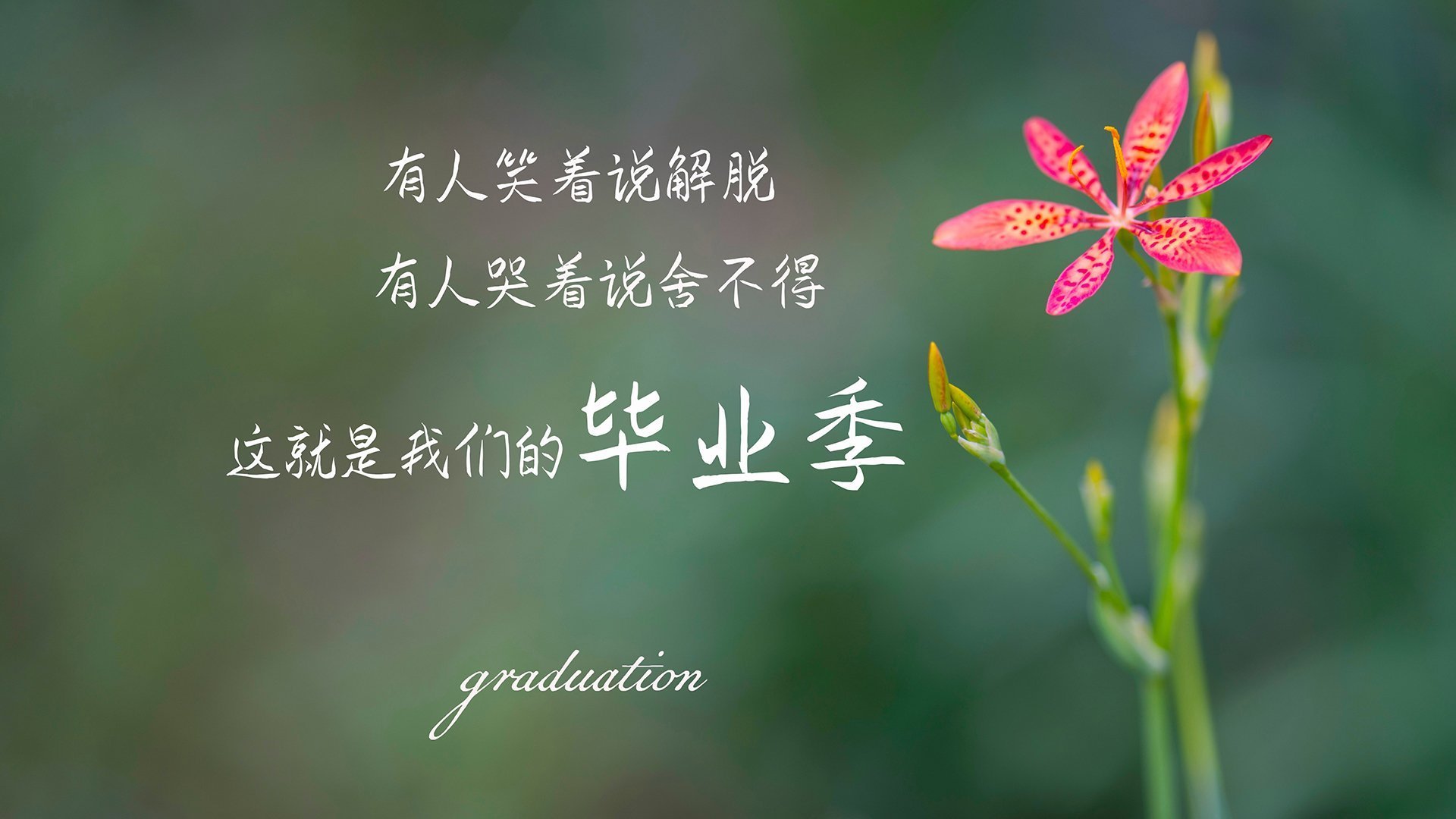 沙漠之鹰的致命一喙，当三笘薰的左脚改写了北欧神话