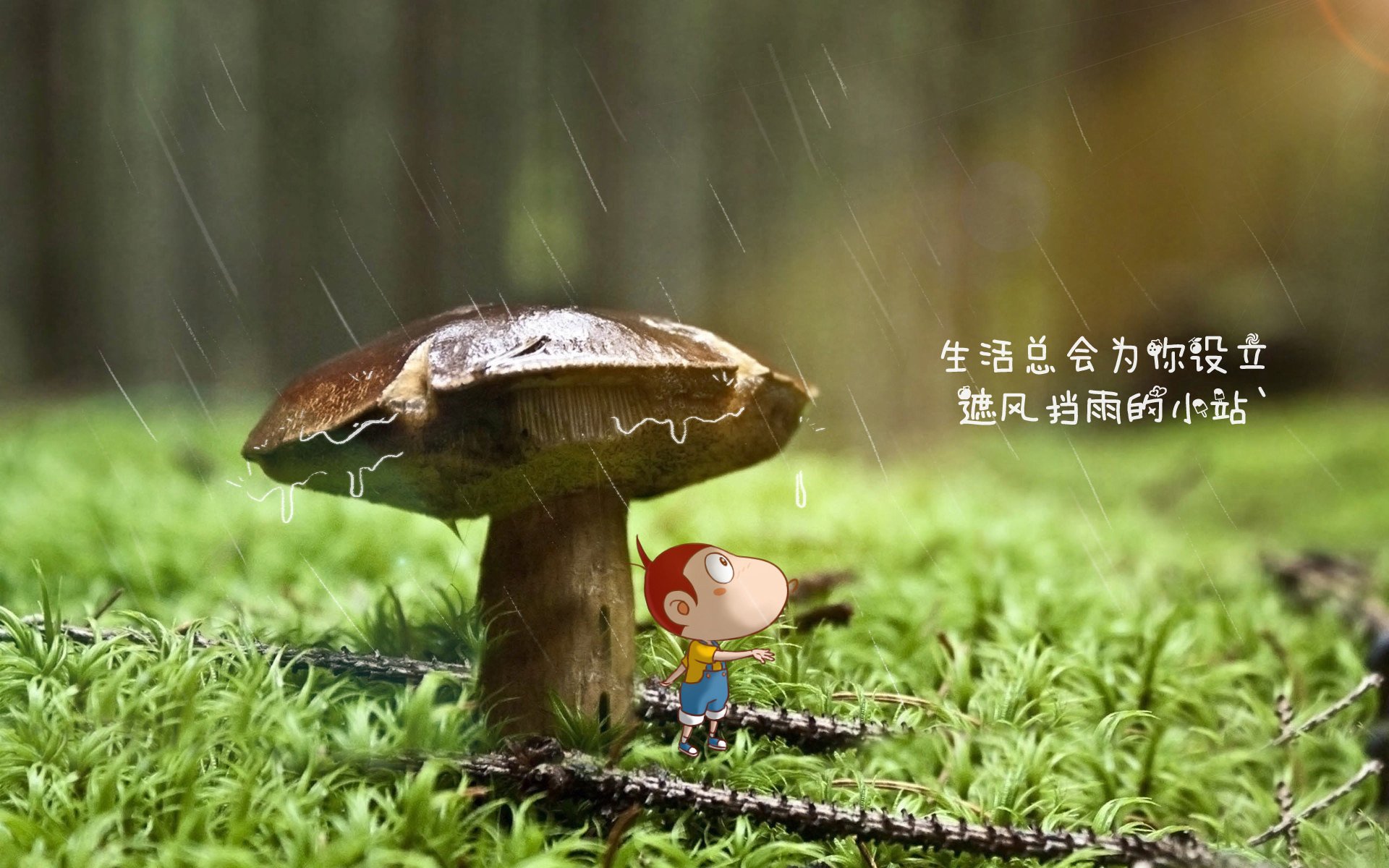 开云APP-鹰击长空，2026世界杯B组血战，伊朗铁骑踏碎北欧神话，苏亚雷斯绝杀点燃不朽传奇